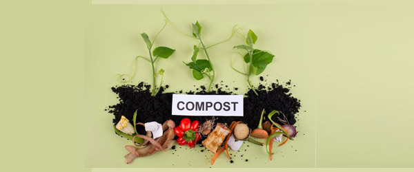 Reducing food waste